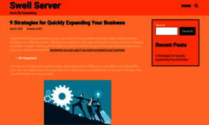 Swellserver.com thumbnail