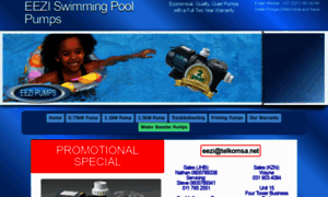 Swimming-pool-pumps.co.za thumbnail