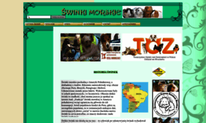 Swinka.vot.pl thumbnail
