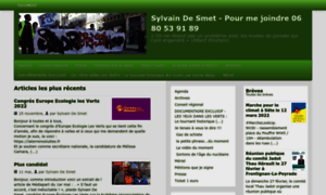 Sylvaindesmet.org thumbnail