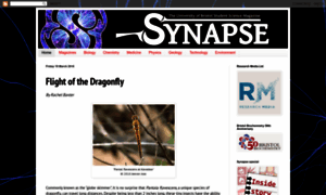 Synapsebristol.blogspot.com thumbnail