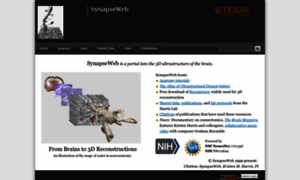 Synapseweb.clm.utexas.edu thumbnail