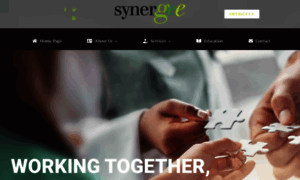 Synergee4life.com thumbnail