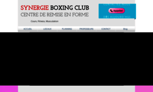 Synergieboxingclub.com thumbnail