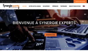 Synergieexperts.com thumbnail