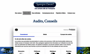 Synergiesconseil.com thumbnail