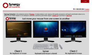 Synergy-enterprise.com thumbnail