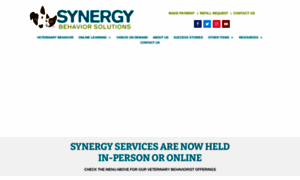 Synergybehavior.com thumbnail