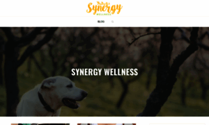 Synergyfamilywellnesscentre.com thumbnail