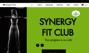 Synergyfitclubchicago.com thumbnail