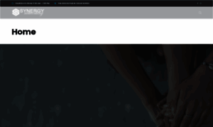 Synergynetworkingcedarrapids.com thumbnail