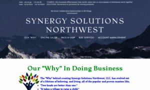 Synergysolutionsnw.com thumbnail