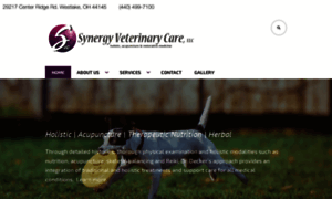 Synergyvetcare.com thumbnail