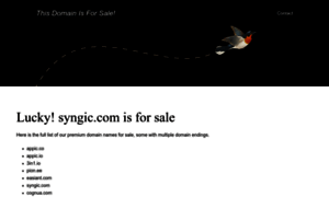 Syngic.com thumbnail