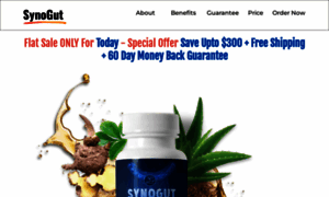 Synogut-usa.us thumbnail