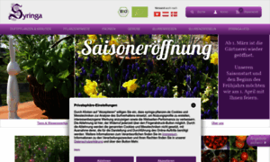 Syringa-pflanzen.de thumbnail