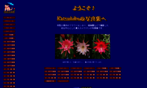 T-katsuhiko.com thumbnail