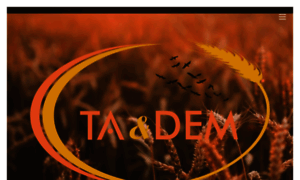 Tademgida.com thumbnail