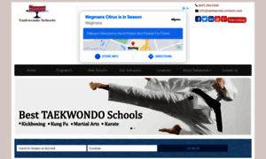 Taekwondo-schools.com thumbnail