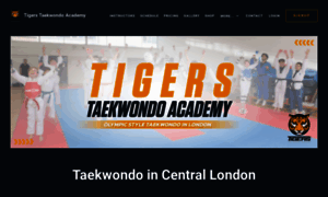 Taekwondotigerslondon.co.uk thumbnail