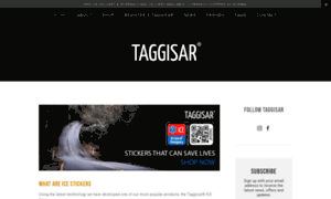 Taggisar.squarespace.com thumbnail