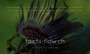 Taichi-flow.ch thumbnail