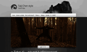 Taiji-chenstyle.cz thumbnail