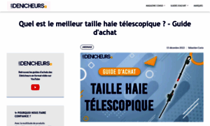 Taille-haie-telescopique.fr thumbnail