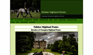 Taliskerhighlandponies.com thumbnail