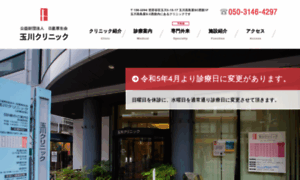 Tamagawa-clinic.jp thumbnail