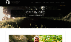 Tamminglaw.com thumbnail