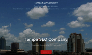 Tampa-seo-company.org thumbnail