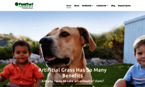 Tampaartificialgrasspros.com thumbnail