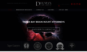 Tampabaybraininjuryblog.com thumbnail