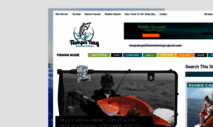 Tampabayoffshorefishing.com thumbnail