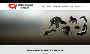 Tampapestwildlife.com thumbnail