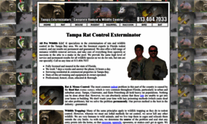 Tamparatexterminator.com thumbnail