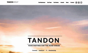 Tandongroup.com thumbnail