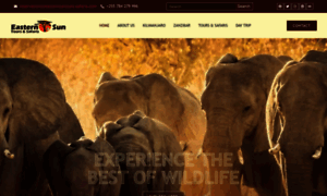 Tanzania-safari-easternsuntours.com thumbnail