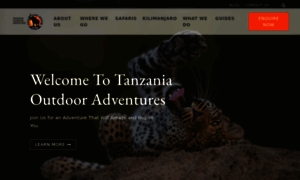 Tanzaniaoutdooradventures.com thumbnail