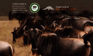 Tanzaniasafariprivatetours.com thumbnail