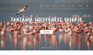 Tanzaniawildernesssafaris.com thumbnail