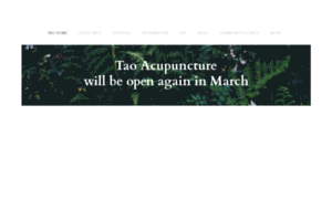 Taoacupuncturemarin.com thumbnail