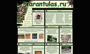 Tarantulas.ru thumbnail