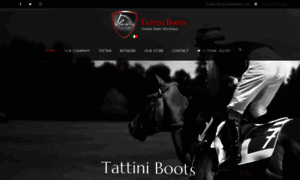 Tattiniboots.com thumbnail