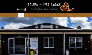 Taupopetlodge.co.nz thumbnail