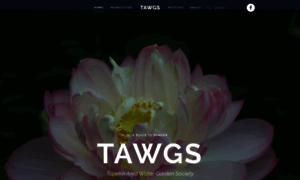 Tawgs.org thumbnail