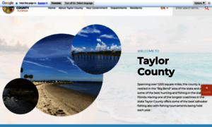 Taylorcountygov.com thumbnail