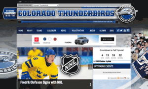 Tbirdhockey.org thumbnail