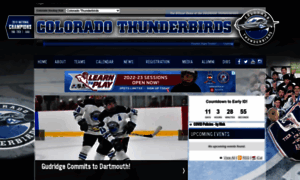 Tbirdhockey.sportngin.com thumbnail